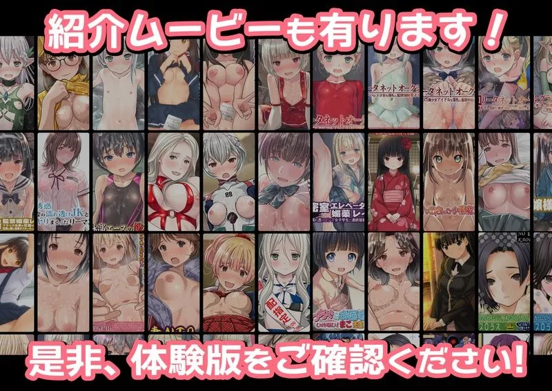 【期間限定特別価格】Sage同人誌超全集F【41冊総集編】