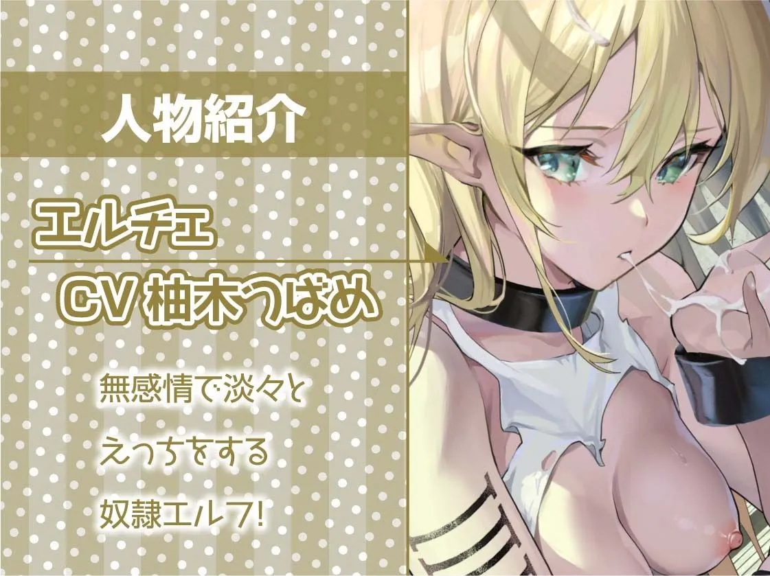性処理担当奴隷エルフNo.124～無感情で抜いてくれる使い捨てエルフおまんこ～【フォーリーサウンド】