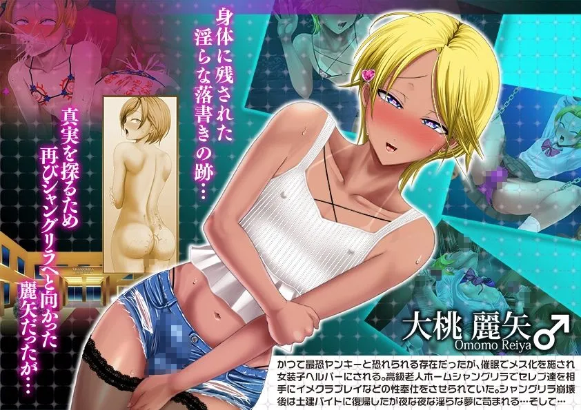 ヤンキー女装子ヘルパーVol.4 ～勃起妻 桃尻受精伝説～