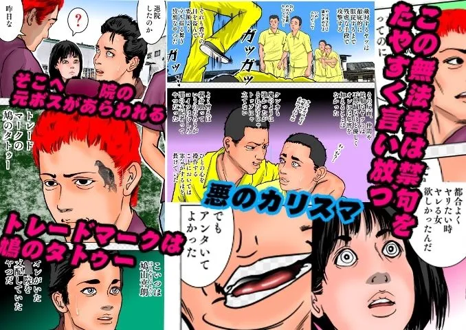 女保護観察官逆更生 ～元少年院ボスによる調教記録～