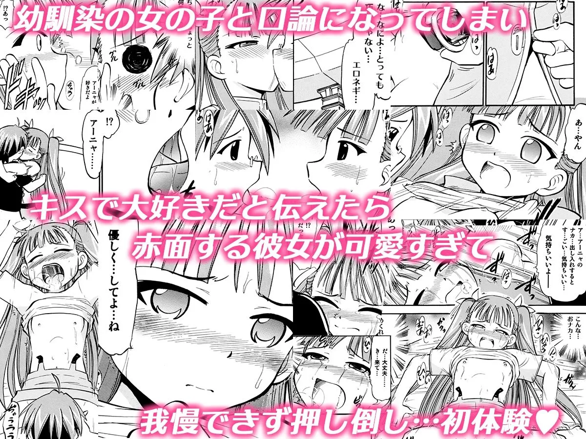 「純愛、出張風俗、道具支配、認識改変、強制隷属」