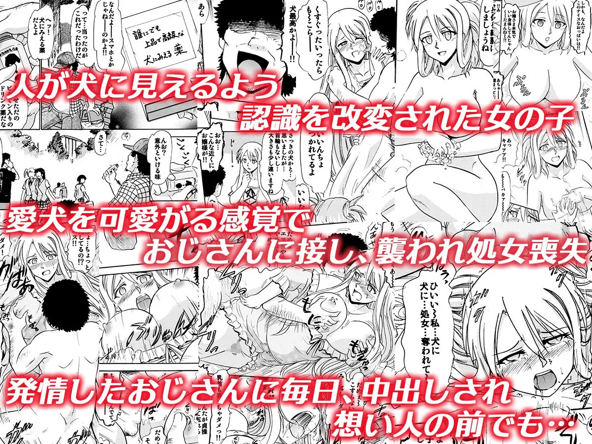 「純愛、出張風俗、道具支配、認識改変、強制隷属」