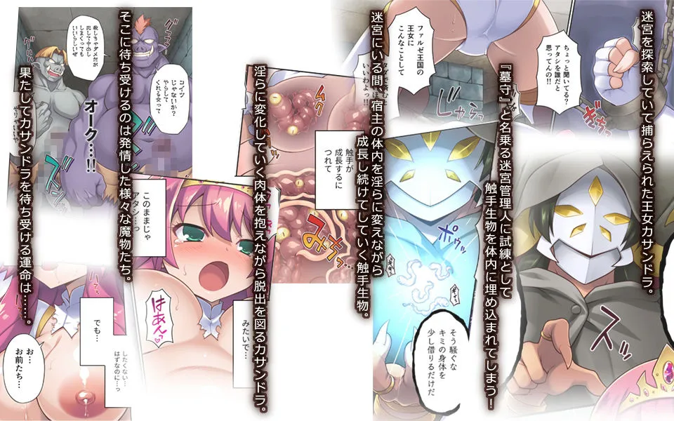 サクリファイスプリンセス～発情快楽器官へと改造された勇ましき王女～