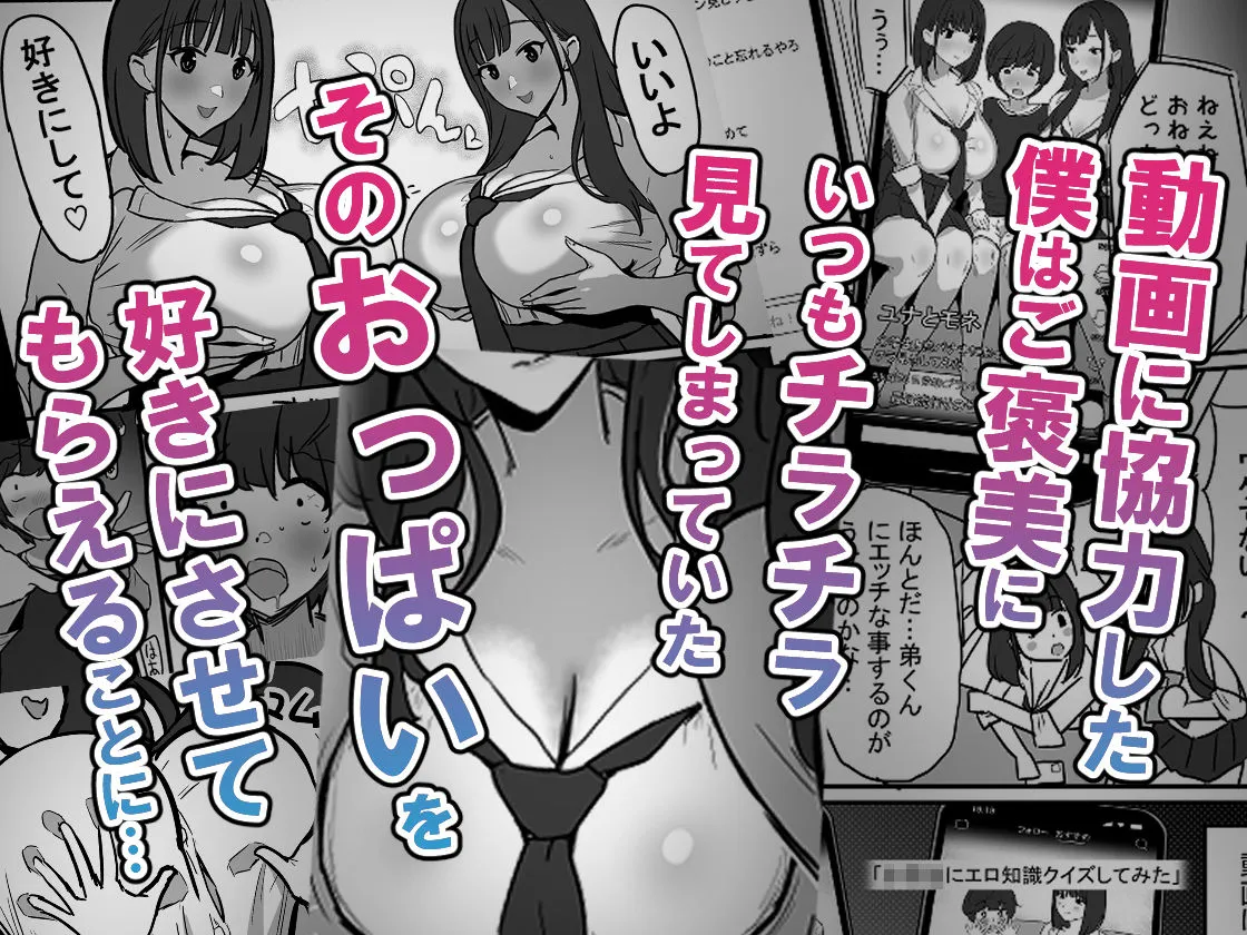 お姉ちゃんの友達のJKティックトッカ―にたくさんパイズリされる本