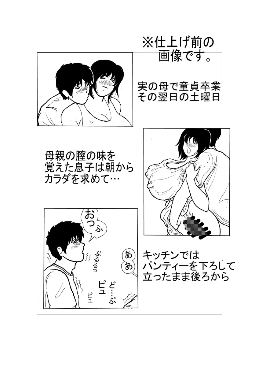 息子と二人きりで暮らすことになりました2―母子の休日（土）―