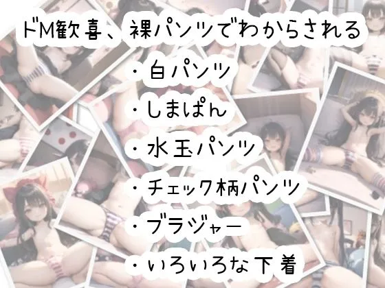 クソガキの部屋で下着を拝ませてもらった