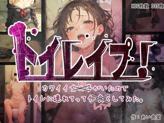 トイレイプ！ かわいい女の子がいたのでトイレに連れてってレイプしてみた。