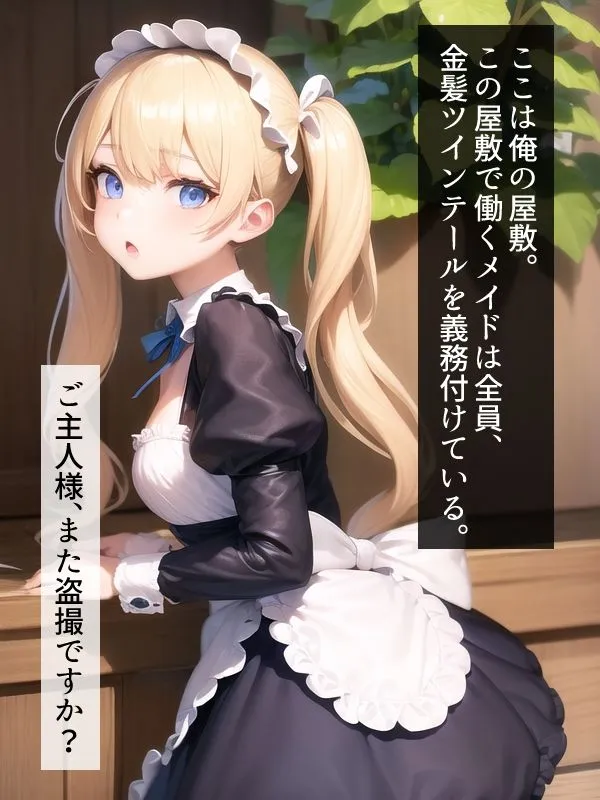 金髪ツインテメイドだけの楽園 〜ご主人様のいうことは絶対なのでいつでもおまんこし放題〜